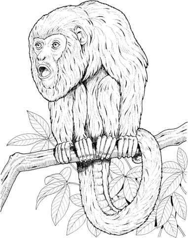 Howler Monkey On A Tree Coloring Page